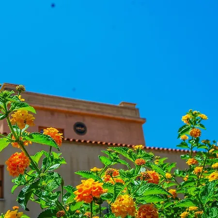 Hotel Ledras